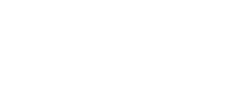 resolve